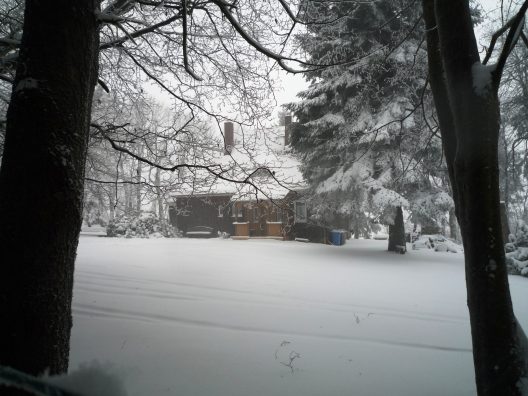 Hütte Hoherodskopf 009