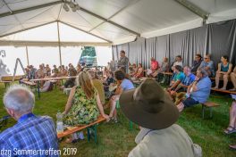 dzg-2019-155