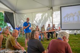 dzg-2019-156