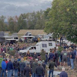 Szene vom Buschtaxi Treffen 2022, viele Menschen, ein Hilux mit Wohnkabine im Hintergrund mehrere Toyota